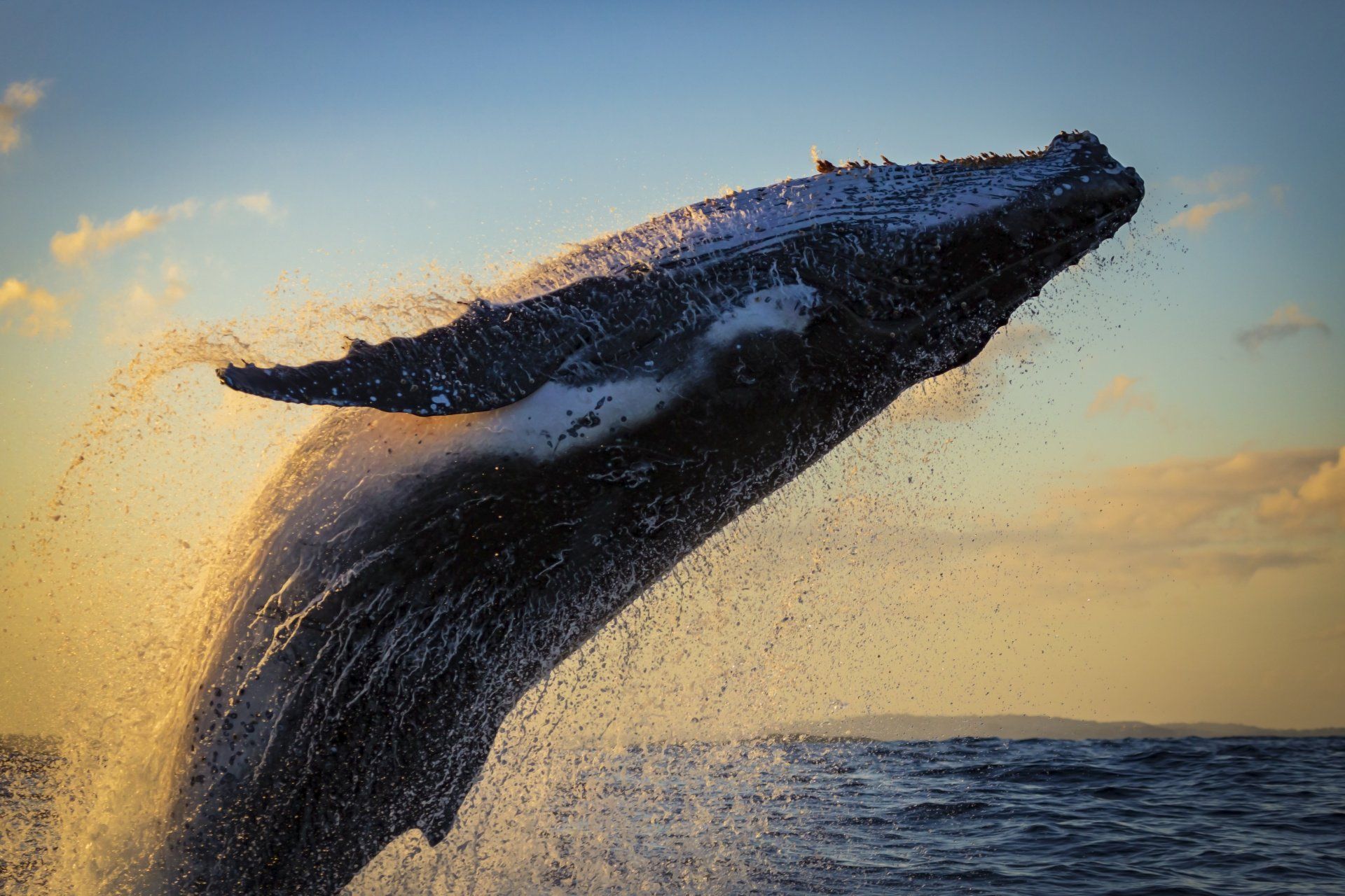 Support regenerative tourism